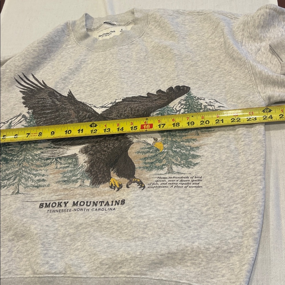 T0102107 A&F Smoky Mountains Tennessee North Carolina sweatshirt Oversized SZ S - Picture 5 of 6